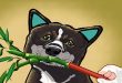 What Happens If A Dog Eats Lucky Bamboo.jpg