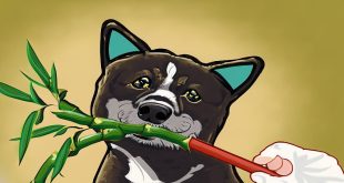 What Happens If A Dog Eats Lucky Bamboo.jpg